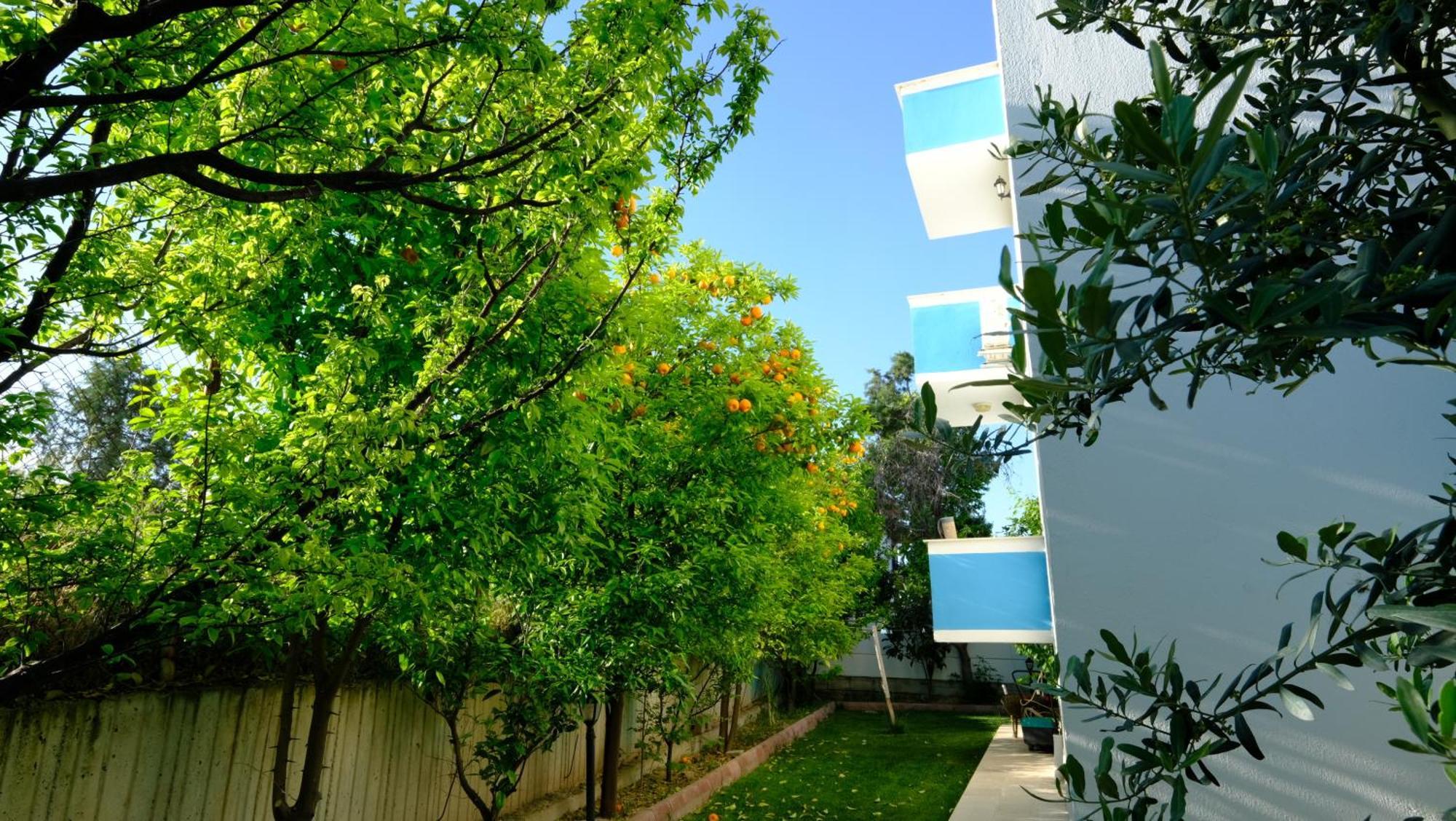 The Cotton House Bed and Breakfast Παμούκαλε Εξωτερικό φωτογραφία
